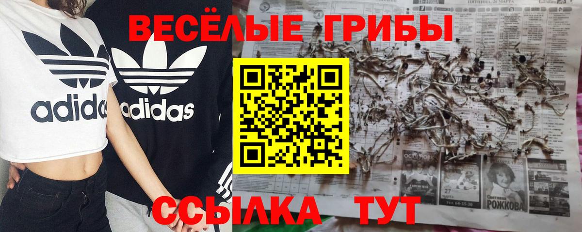 Галлюциногенные грибы мицелий  Вход с VPN  Гусиноозёрск 